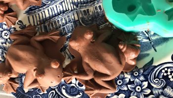 Dagboek: logeren op Zweinstein