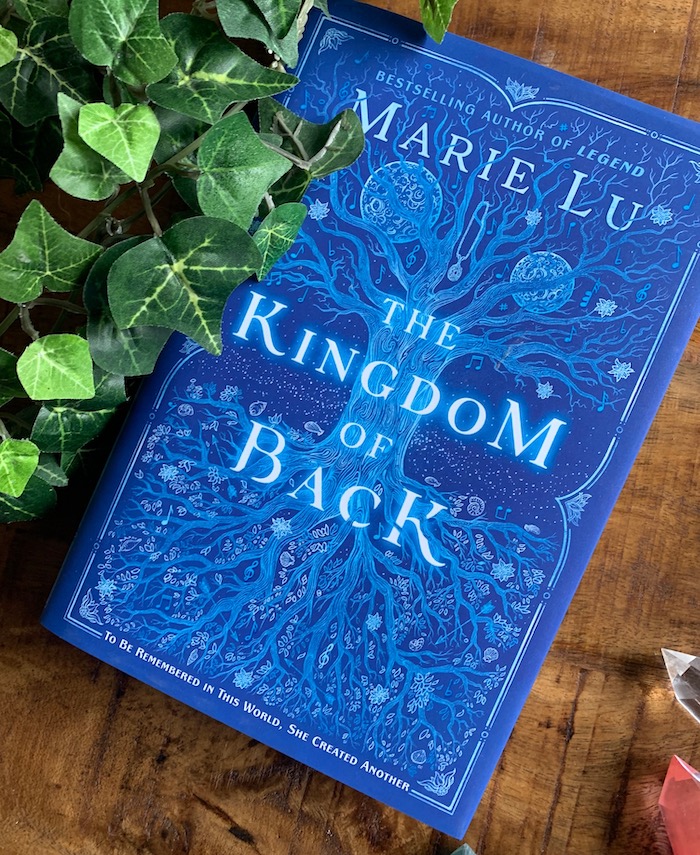 the kingdom of back marie lu