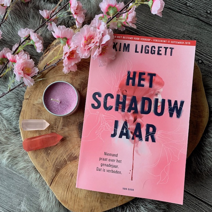 Het schaduwjaar