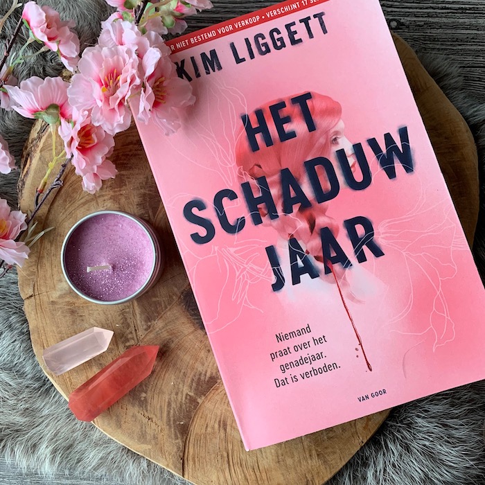 Het schaduwjaar
