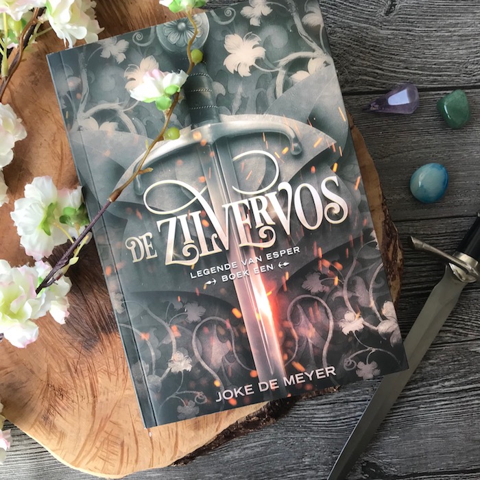 Afbeeldingsresultaat voor de zilvervos joke de meyer